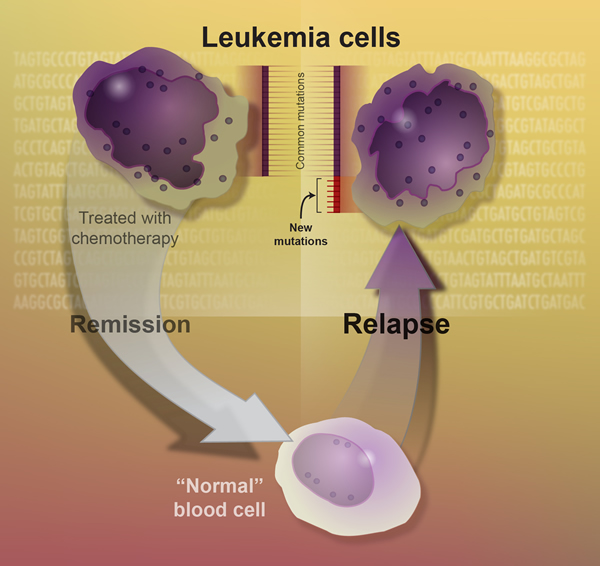 persistent-mutations-throughout-remission-linked-with-poor-survival-in